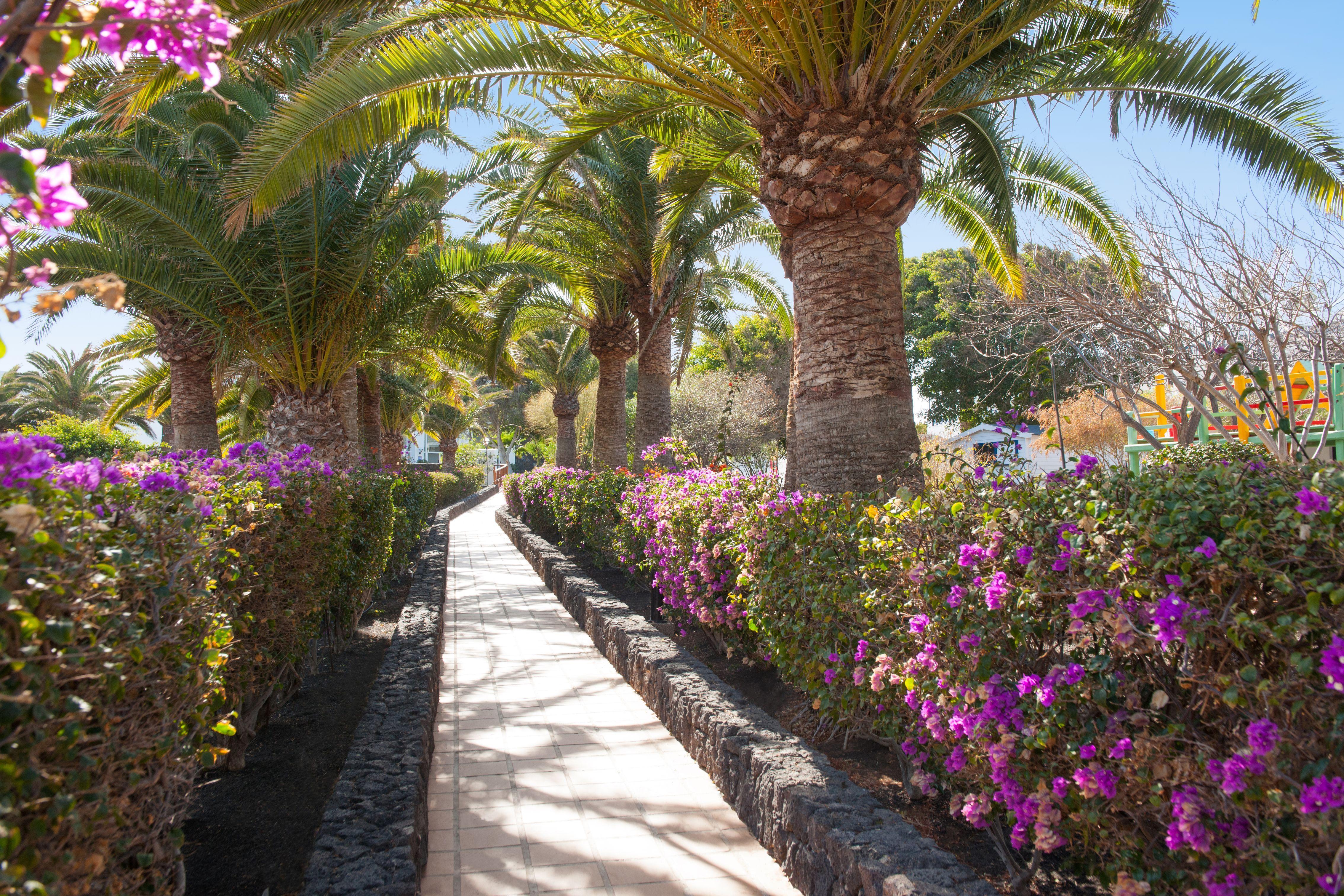 Relaxia Olivina Hotel Puerto del Carmen  Luaran gambar